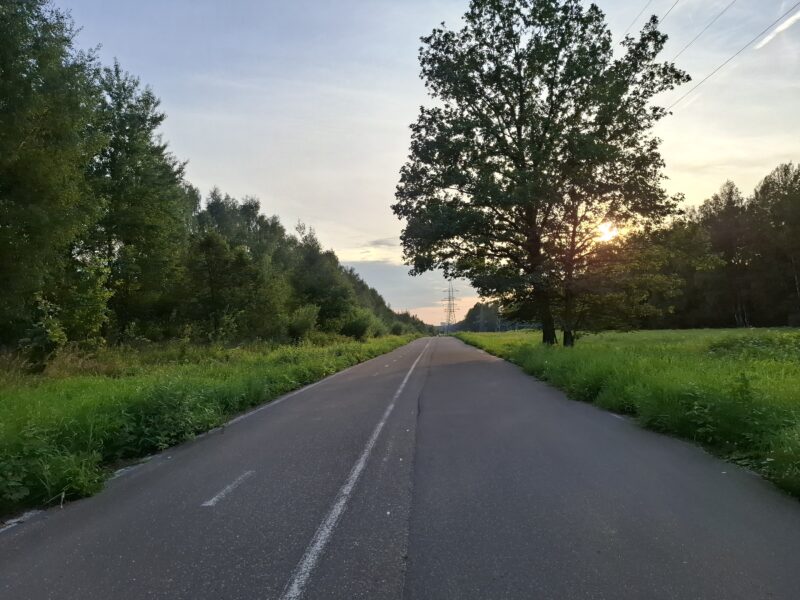 Дорожки в парке Лосиный остров, состояние на 11 августа 2025 по отзыву, фото 6. 